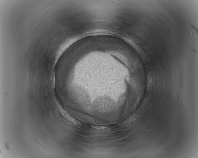 X0000102781413200809081017