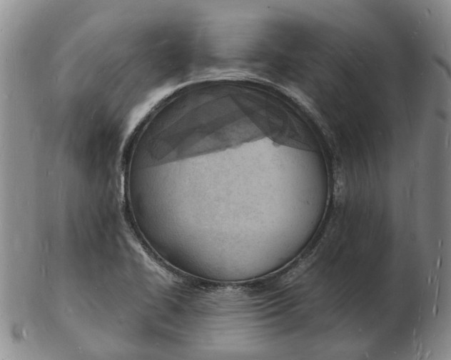 X0000102781414200809081017