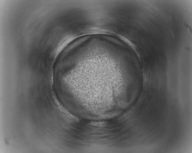 X0000102781415200809081017