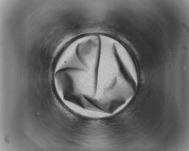 X0000102781416200809081017