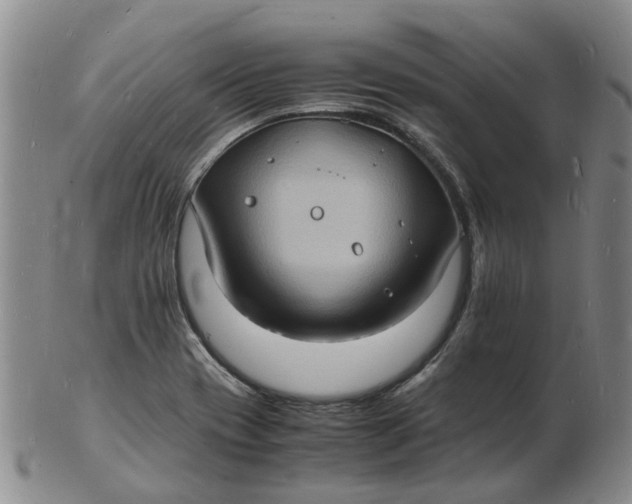 X0000102781417200809081017