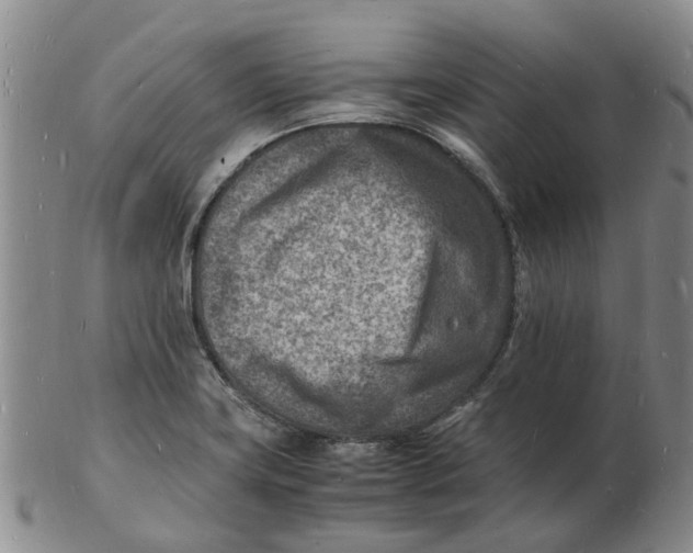 X0000102781419200809081017