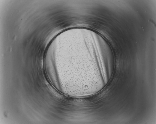 X0000102781420200809081017