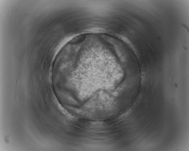 X0000102781421200809081017