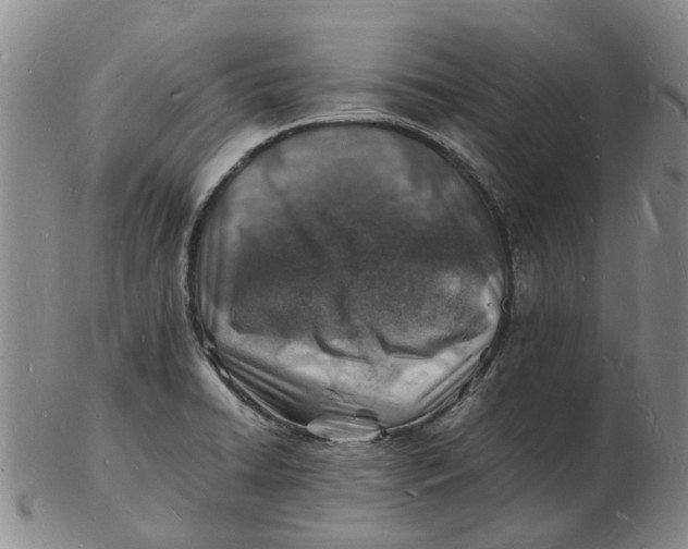 X0000102781422200809081017