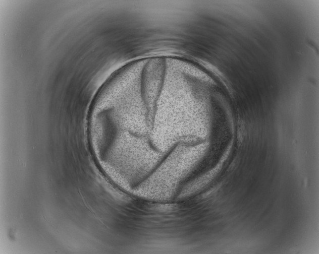 X0000102781423200809081017