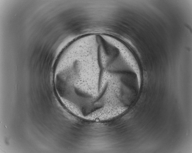 X0000102781424200809081017