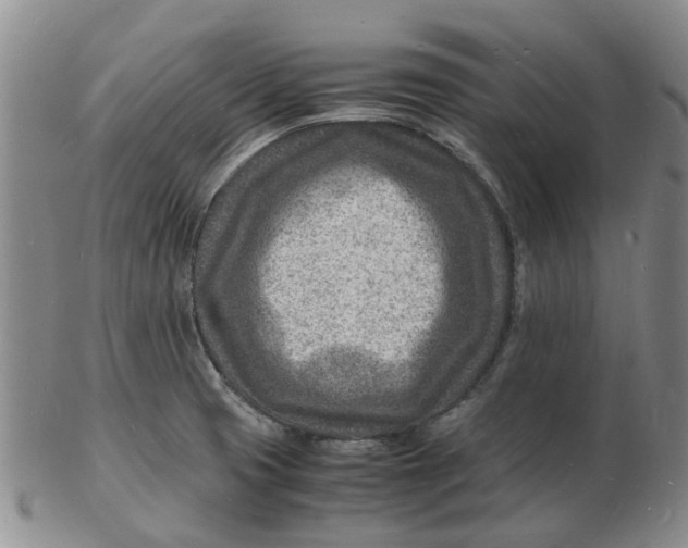 X0000102781425200809081017