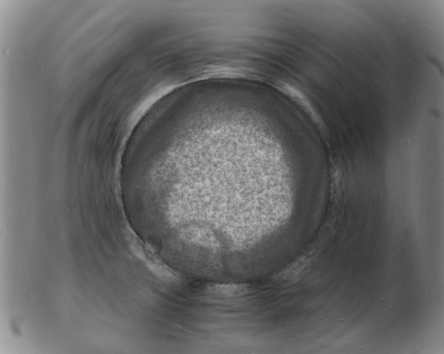 X0000102781427200809081017