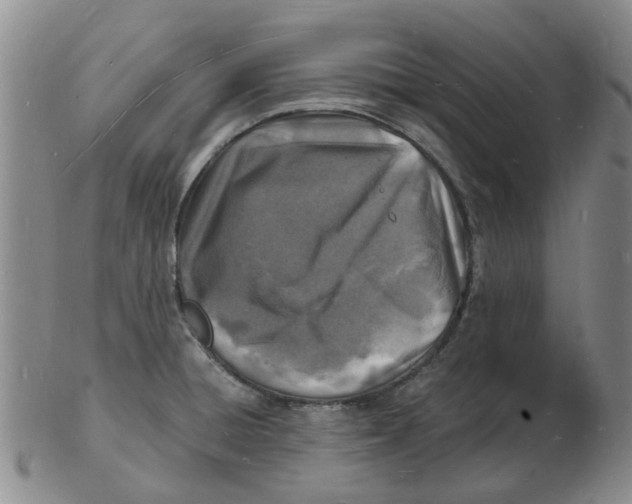 X0000102781428200809081017