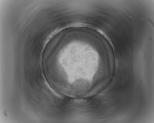 X0000102781429200809081017