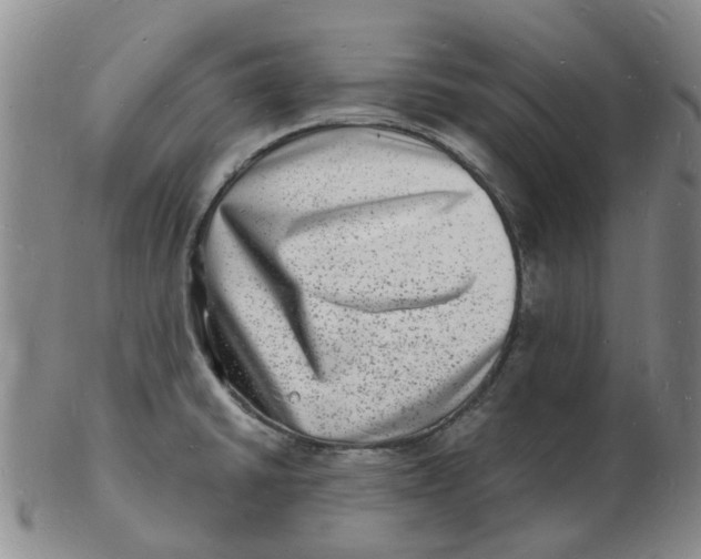 X0000102781430200809081017