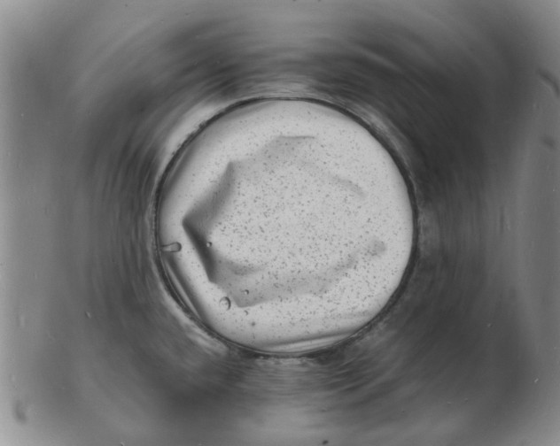 X0000102781432200809081017