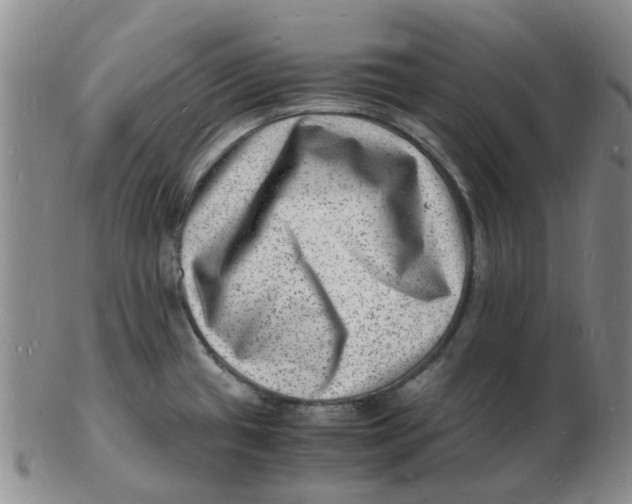 X0000102781433200809081017