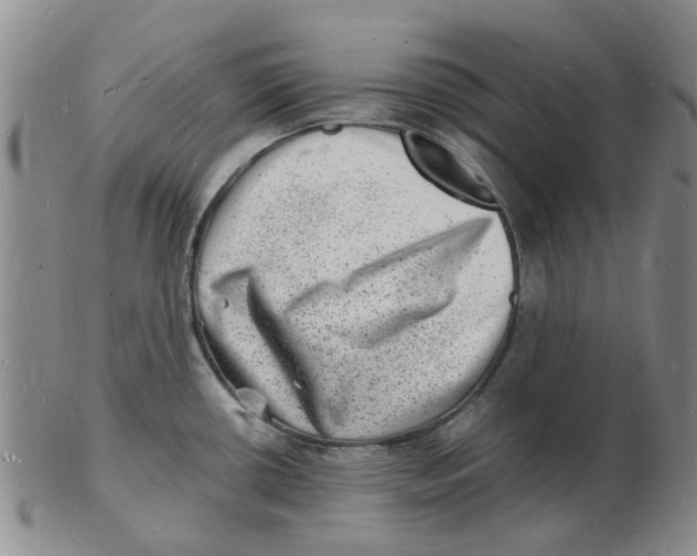 X0000102781434200809081017