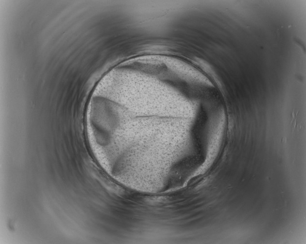 X0000102781435200809081017