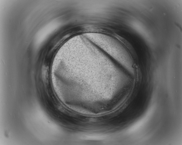 X0000102781438200809081018