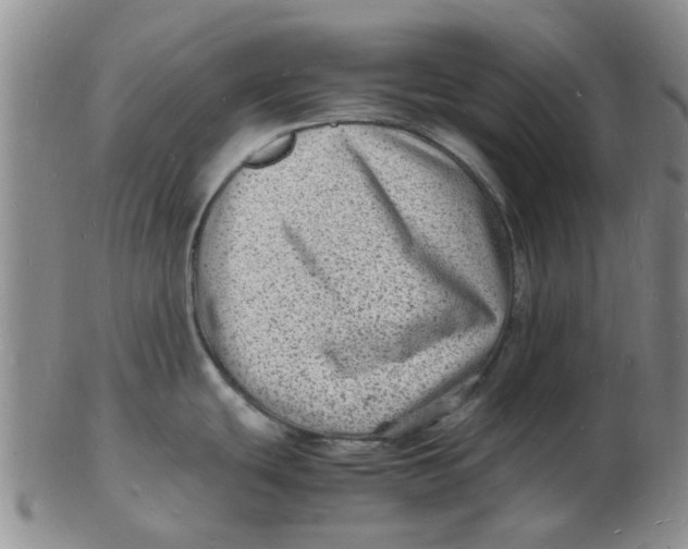 X0000102781439200809081018