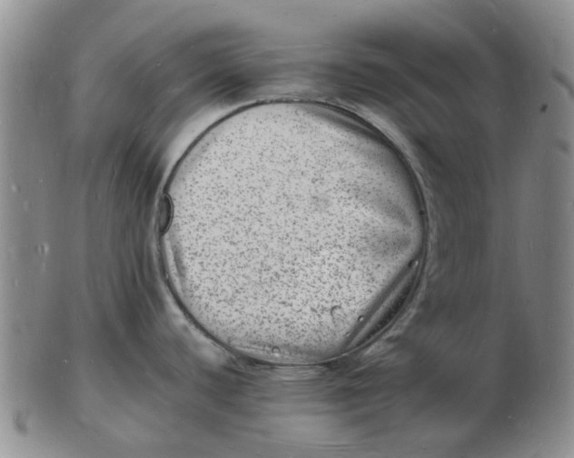 X0000102781440200809081018