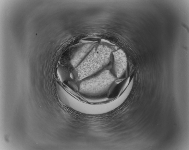 X0000102781441200809081017