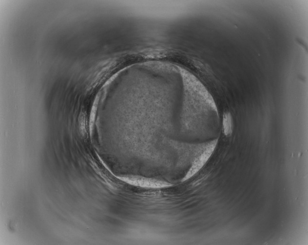 X0000102781444200809081017