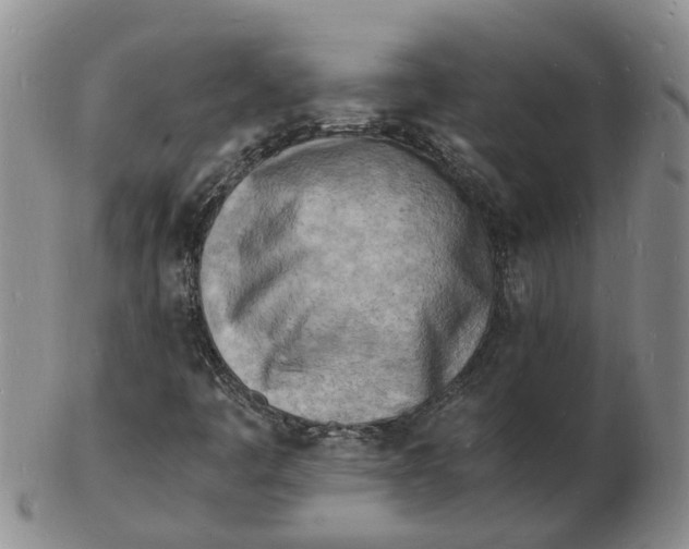 X0000102781445200809081017