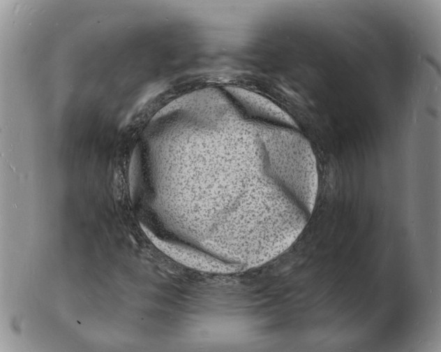 X0000102781446200809081017