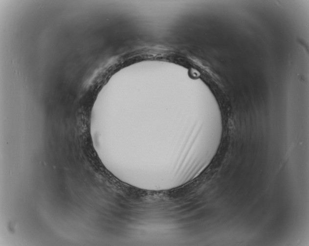 X0000102781447200809081017