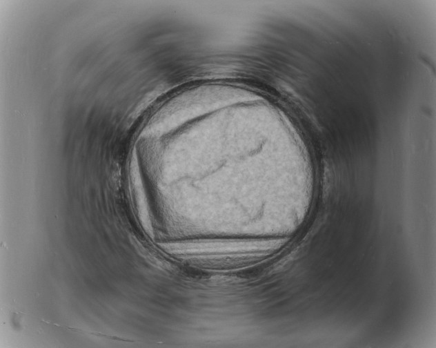 X0000102781449200809081017