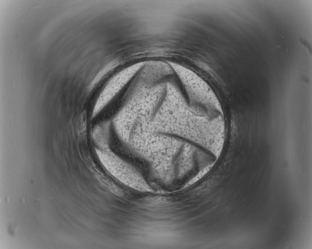 X0000102781450200809081017