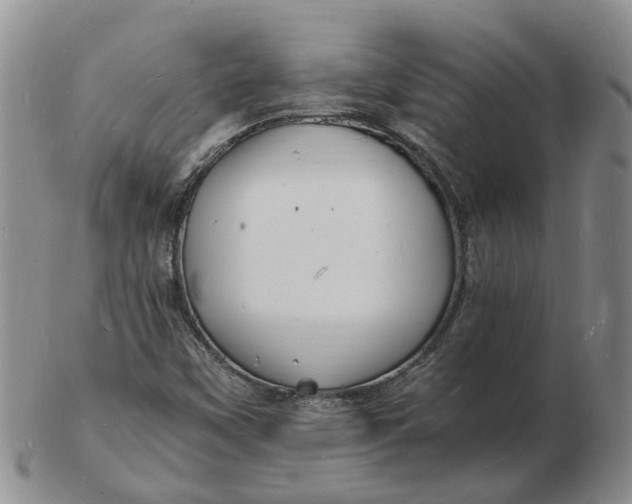 X0000102781451200809081017