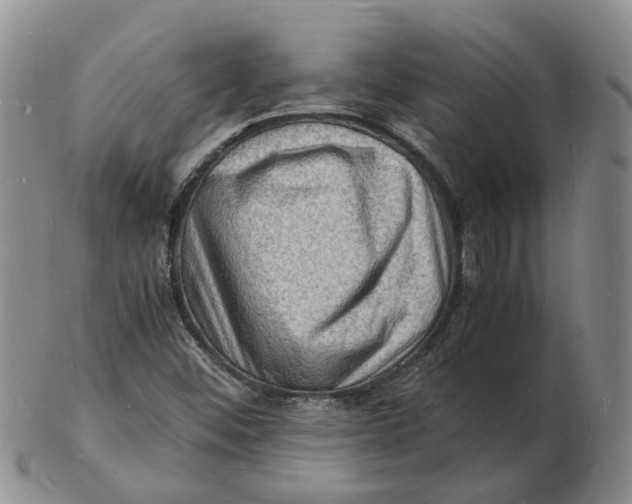 X0000102781452200809081017