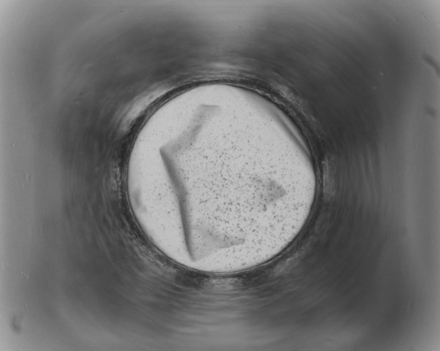 X0000102781453200809081017