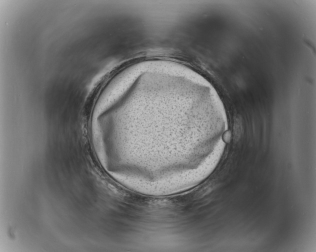 X0000102781454200809081017