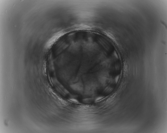 X0000102781455200809081017