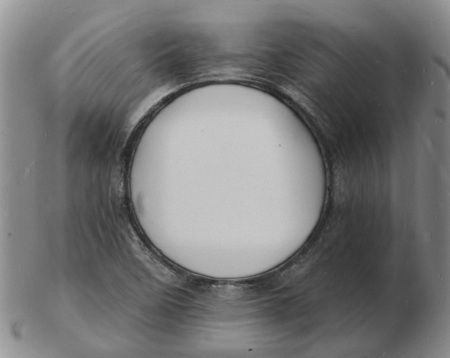 X0000102781458200809081017