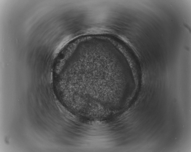 X0000102781459200809081017