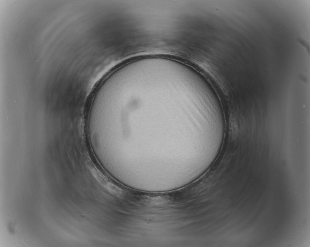 X0000102781460200809081017