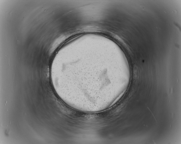 X0000102781461200809081017