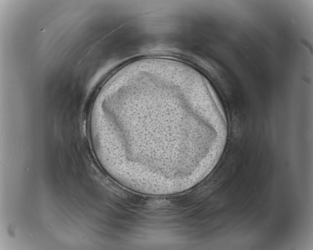 X0000102781462200809081017