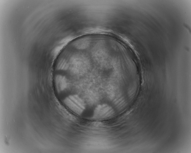 X0000102781463200809081017