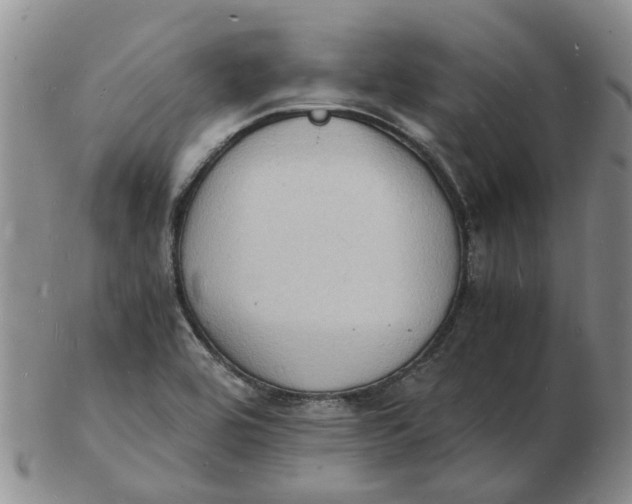 X0000102781464200809081017