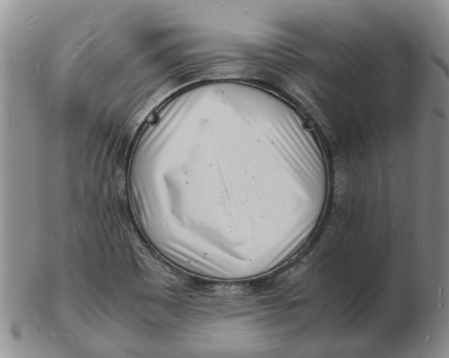 X0000102781465200809081016