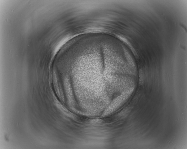 X0000102781467200809081016