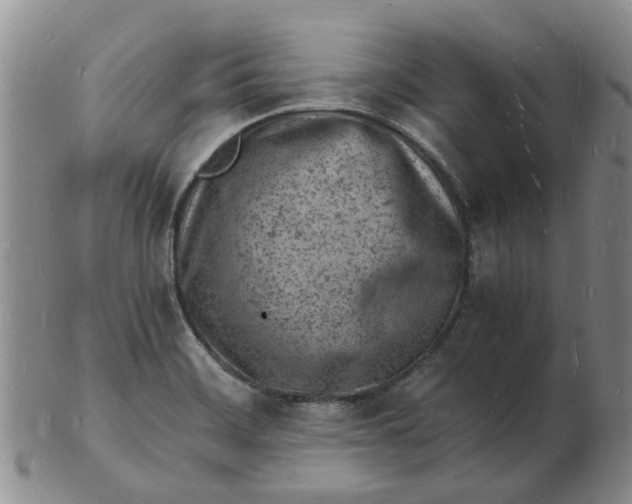 X0000102781468200809081016