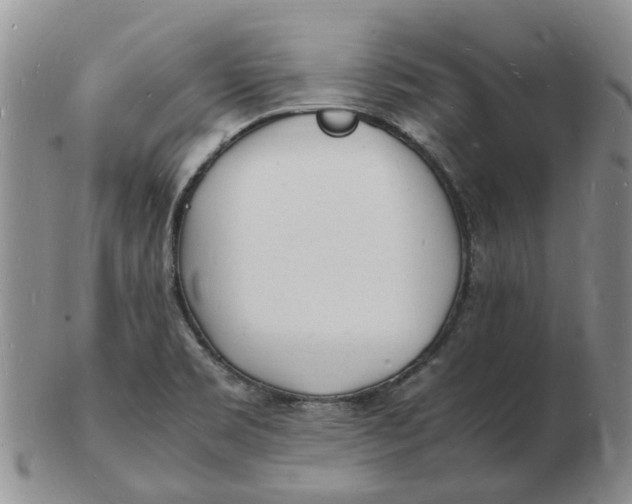 X0000102781469200809081016