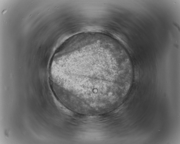 X0000102781471200809081016