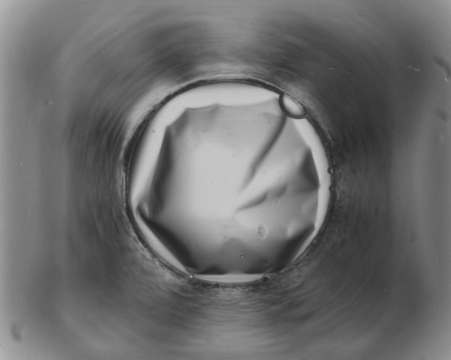 X0000102781472200809081016