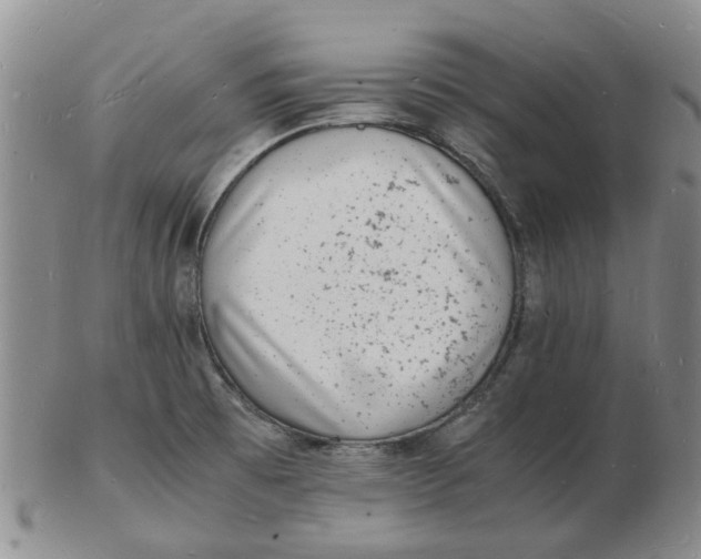 X0000102781473200809081016