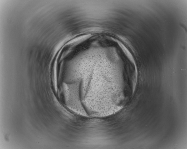 X0000102781475200809081016